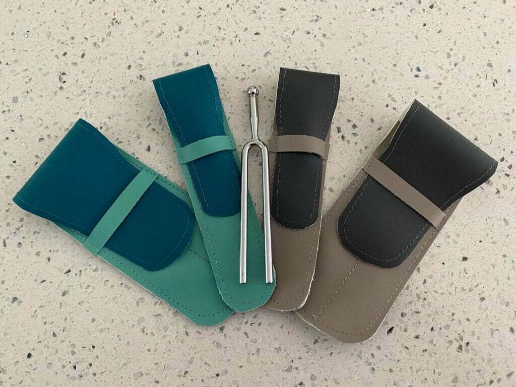 Jeanius Tuning Fork Cases Double Sing For Pleasure